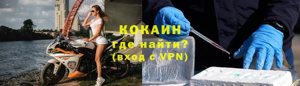 стафф Алексин
