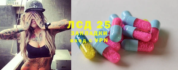 стафф Алексин