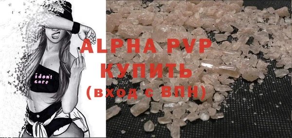 стафф Алексин
