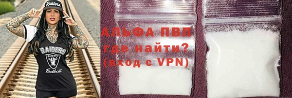 стафф Алексин