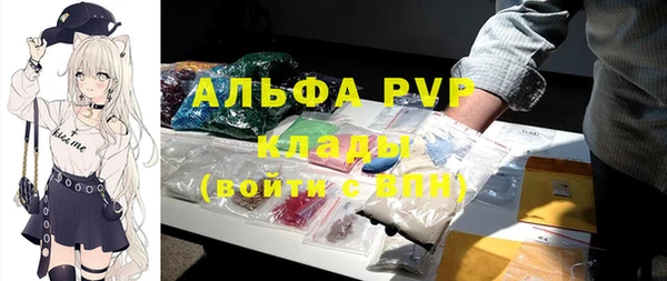 стафф Алексин