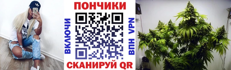 Бошки марихуана марихуана  что такое   Новоаннинский 